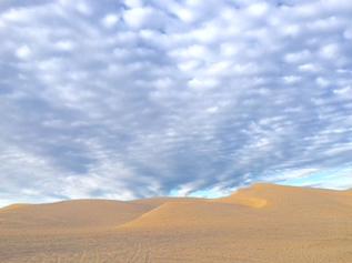 アリゾナ州との州境にあるGlamis Sand Duneと呼ばれる砂丘地帯